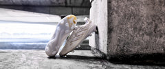 adidas Copa Pure 2 Elite Leather FG